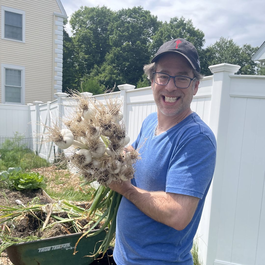 Gregg Weiss holding a fresh garlic harvest in his garden